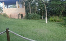Dsc03305