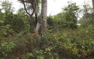 Dscf0569