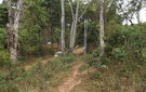 Dscf0571