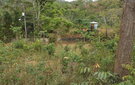 Dscf0572