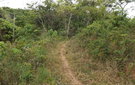 Dscf0573