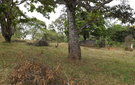 Dscf0577