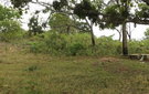 Dscf0578
