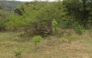 Dscf0587