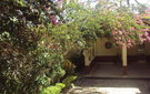 Dsc09704