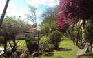Dsc09705
