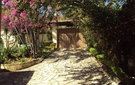 Dsc09707