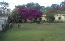 Dsc09718