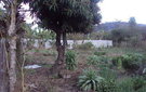 Dsc09739