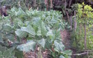 Dsc09740
