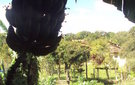 Dsc09745