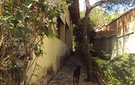 Dsc09750