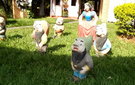 Dscf3725