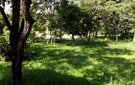Dscf3747