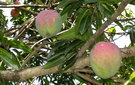 Dscf3762