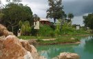 6093525_13_ouro_verde_(1)