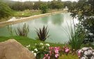 6093525_14_ouro_verde