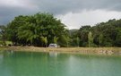 6093525_16_ouro_verde