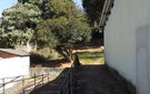 Dscf3664