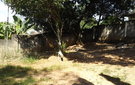 Dscf3675