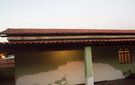 Dsc07267