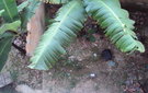 Dsc07243