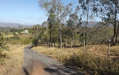 Dscf4639