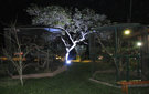 Dsc03121