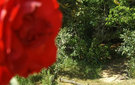 Dscf5917