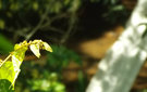 Dscf5932