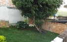 Dscf6430
