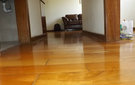 Dscf6803