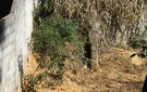 Dscf7588