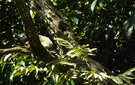 Dscf7609