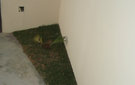 Dsc01001